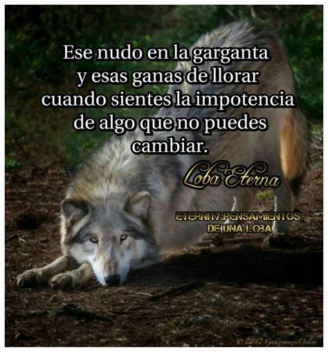 Sintético 102 Foto Imagenes De Lobos Con Frases Tristes De Amor Lleno