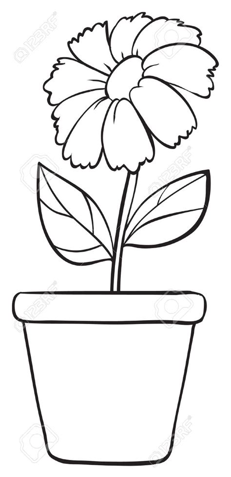 Flower Pot Drawing Sketch Coloring Page