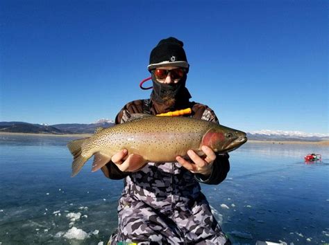 Antero Reservoir Trophy Trout Caught While Ice Fishing Near