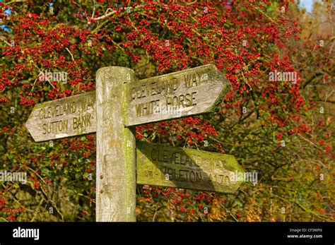 Wooden Signpost On The Cleveland Way Showing Directions To Sutton Bank