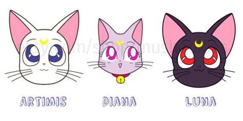 Cats From Sailor Moon Luna Diana Artemis