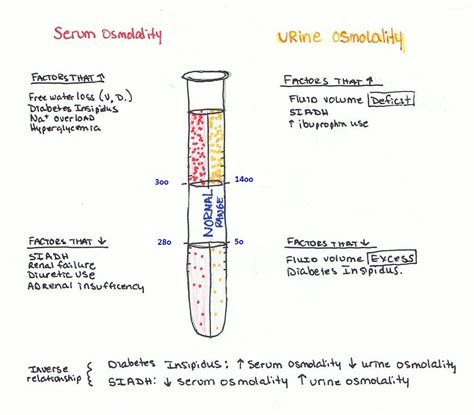 A serum osmolality test looks for a chemical imbalance in your blood. Osmolality | Serum, School stuff and Factors