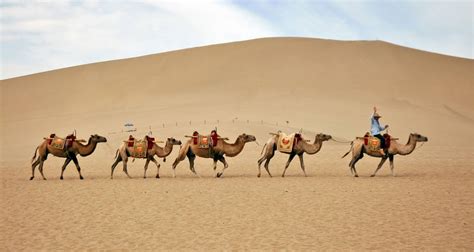 15 Days China Mysterious Silk Road Tour By Chinadventure Tours Code