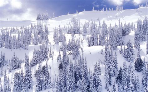44 High Definition Winter Scenes Wallpaper On Wallpapersafari