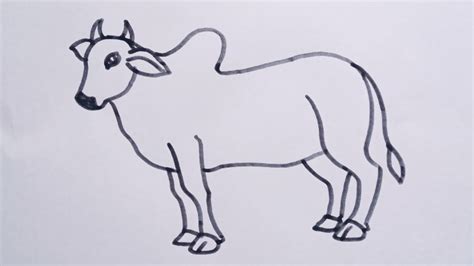 How To Draw A Bull Easy Drawing Step By Stepsimple Bull Drawing