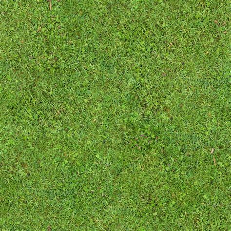Grass Textures Grass Texture Seamless Grass Wallpaper Images And