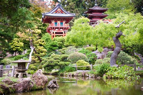 The japanese village, small portions of which still exist today in the form of the japanese tea garden of golden gate park, was designed by george turner marsh with the advicee of makota hagiwara and at least one other japanese gardener, t. Japanese Tea Garden, Golden Gate Park, San Francisco ...