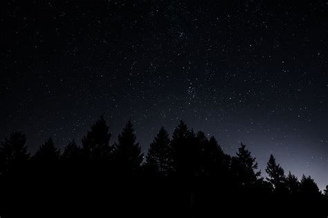 1680x1050 Resolution Silhouette Of Tree Starry Sky Trees Night Hd
