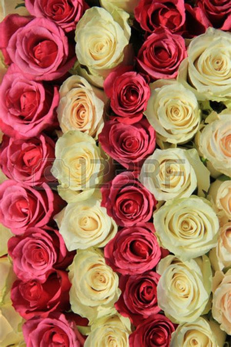 Roses In Different Shades Of Pink In A Big Wedding Centerpiece