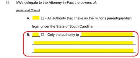 Free South Carolina Guardian Of Minor Power Of Attorney Form Pdf