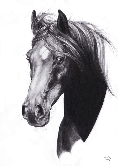 Arab Sketch By Yaveth On Deviantart Horse Head Drawing Horse