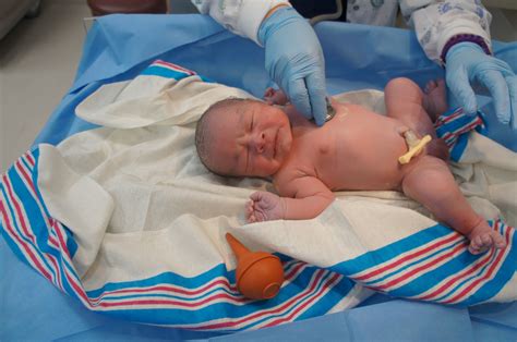 Sleeping Newborn Baby Girl In Hospital Just Born Newborn Baby
