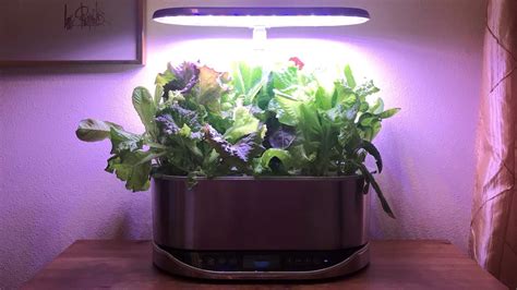 Get the best deals for aerogarden bounty at ebay.com. AeroGarden Bounty Elite - Review 2020 - PCMag India