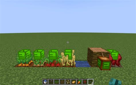 Minecraft Wheat Stages