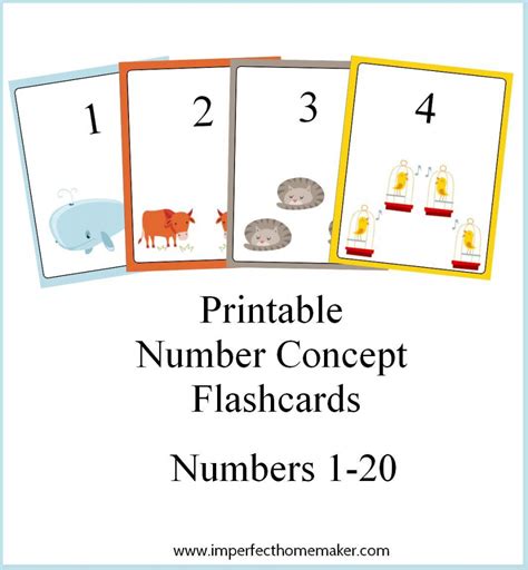 Number Flash Cards Printable 1 20 Printable Card Free