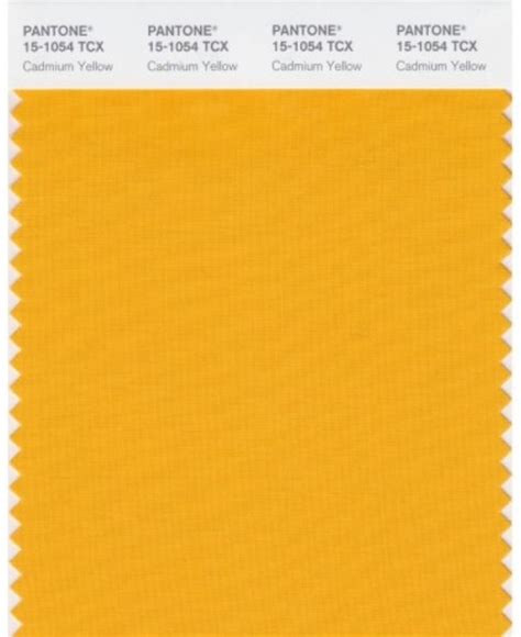 Cadmium Yellow Color Forecasting Pantone Color Shades Of Orange