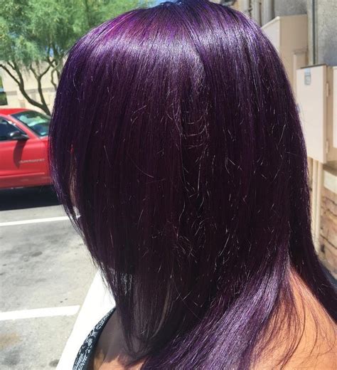 40 Best Collections Midnight Violet Black Hair Color Ion Elegance Nancy