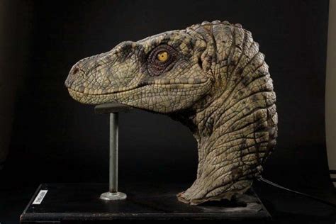 Female Velociraptor Insert Head Jurassic Park Iii With Images Jurassic Park Raptor