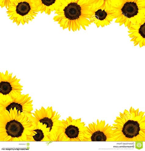 Free Free 288 Sunflower Border Clipart Free SVG PNG EPS DXF File