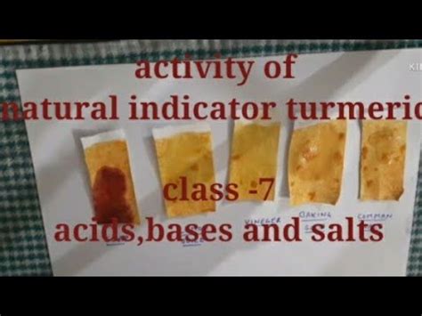 Turmeric Indicator Science Activity Natural Indicator Turmeric Class