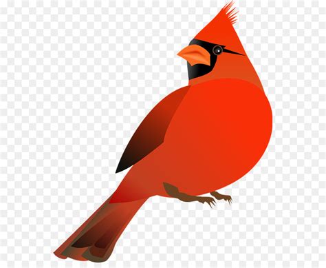 Clip Art Northern Cardinal Free Content Vector Graphics Flying