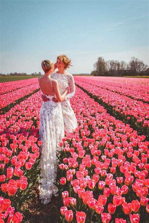exploring the tulip fields in the netherlands in a vw bus lesbian wedding photography lesbian