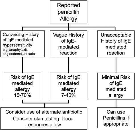 Practical Management Of Antibiotic Allergy In Adults Journal Of