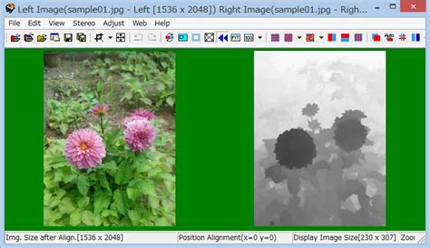 Google Camera Depth map