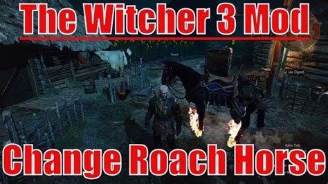 The Witcher 3 How To Change Your Horse Roach In 3 Minutes Hướng