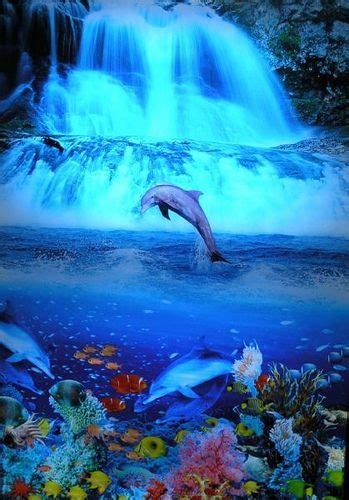 Dolphin Tropical Waterfall Moving Picture Waterfall Photo Dolphin