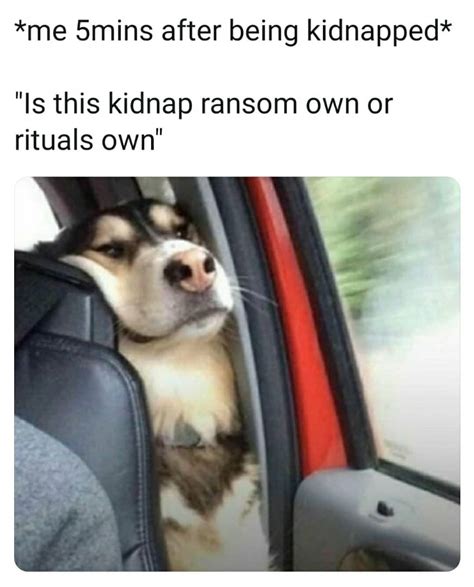 These Hilarious 5 Minutes Into My Kidnap Memes Will Totally Crack You