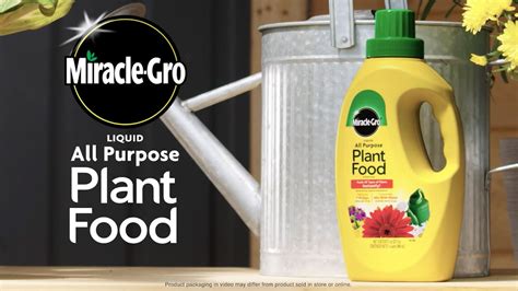How To Use Miracle Gro Liquid All Purpose Plant Food 32 Oz YouTube
