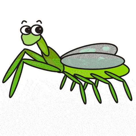 Download High Quality Insect Clipart Praying Mantis Transparent Png