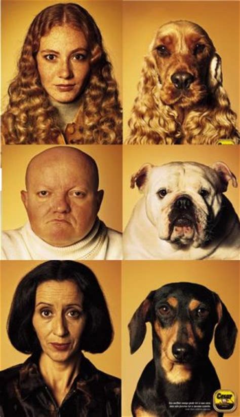 Do Dogs Look Like Their Owners Psychology Today