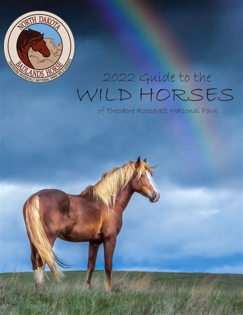2022 Guide To The Wild Horses Of Trnp By North Dakota Badlands Horse