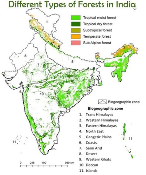Different Types Of Forests In India Indian Geography In 2023 Types
