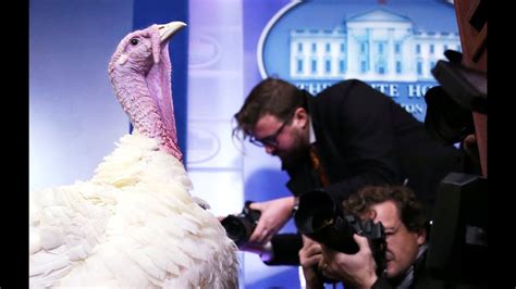 The Surprising History Behind The Thanksgiving Turkey Pardon Youtube