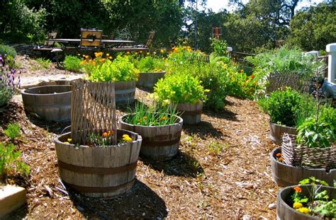 Wildly Whimsical Barrel Planter Ideas Garden Lovers Club Wine