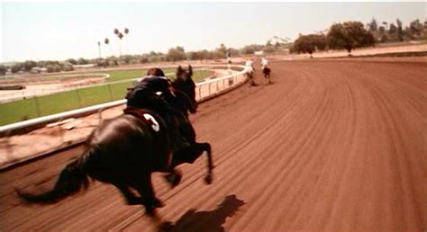 .know that the black stallion, based on the novel by walter farley, is about a young boy named alec (kelly reno) who develops a deep bond with the horse families can talk about the black stallion's more intense scenes. Movie Lovers Reviews: The Black Stallion (1979) - A Boy ...