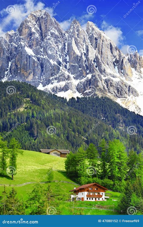 Dolomite Italian Alps Stock Photo Image Of Alpine Grassland 47080152