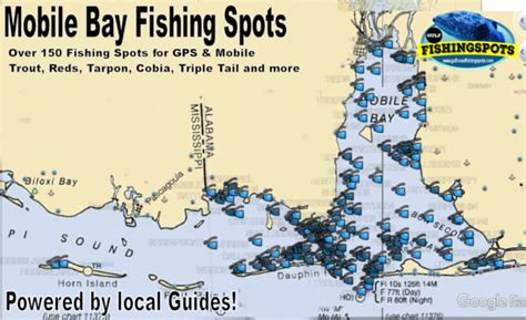 The Best Gulf Fishing Spots Gulf Wrecks Hard Bottom Reefs Oil Rigs