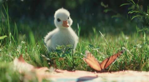 Disney Just Released Adorable Short Film About A Little Duck And It