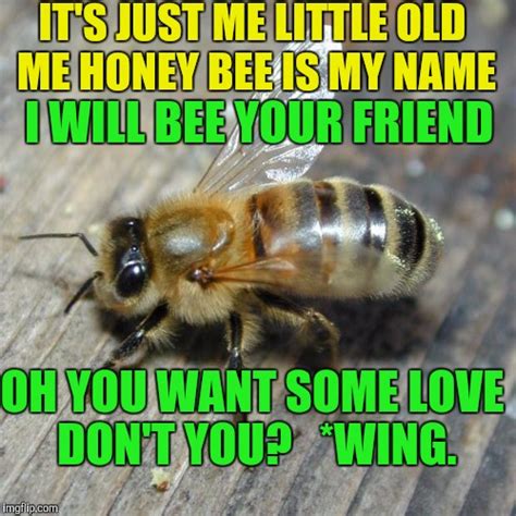 Bee Imgflip