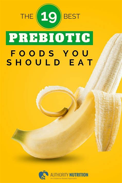 We did not find results for: The 19 Best Prebiotic Foods You Should Eat | Gut bacteria ...
