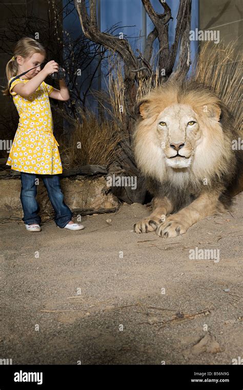 Lion And Girl Hi Res Stock Photography And Images Alamy