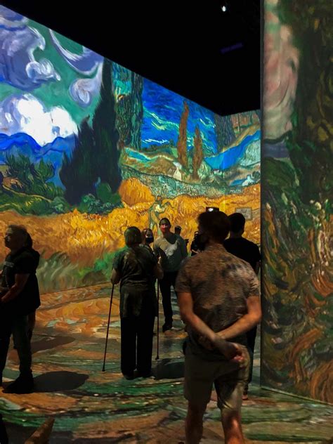 Everything You Need About Beyond Van Goghs Unforgettable Immersive