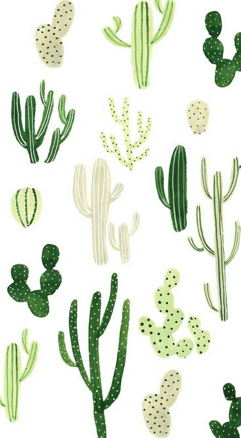 Aesthetic Cactus Wallpapers Top Free Aesthetic Cactus Backgrounds