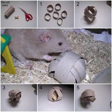 Diy Hamster Treat Ball Diy Rat Toys Hamster Diy