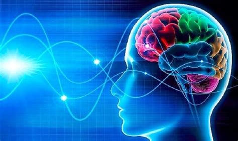 Mild Traumatic Brain Injury: Blue Light Therapy Can be of ...