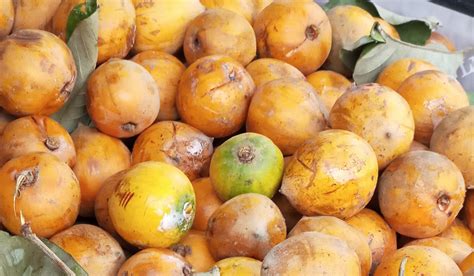 The Vegan Nigerian 5 West African Fruits You Need To Try